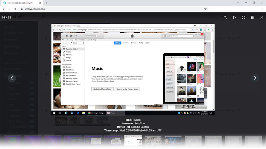 monitoring-screenshots-detail